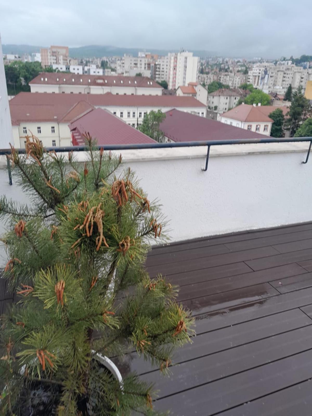 Cristinco Panoramic Apartment Cluj Napoca Bagian luar foto